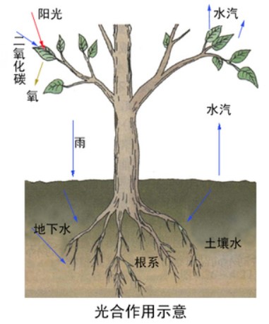 1536197027900770.jpg 1.jpg