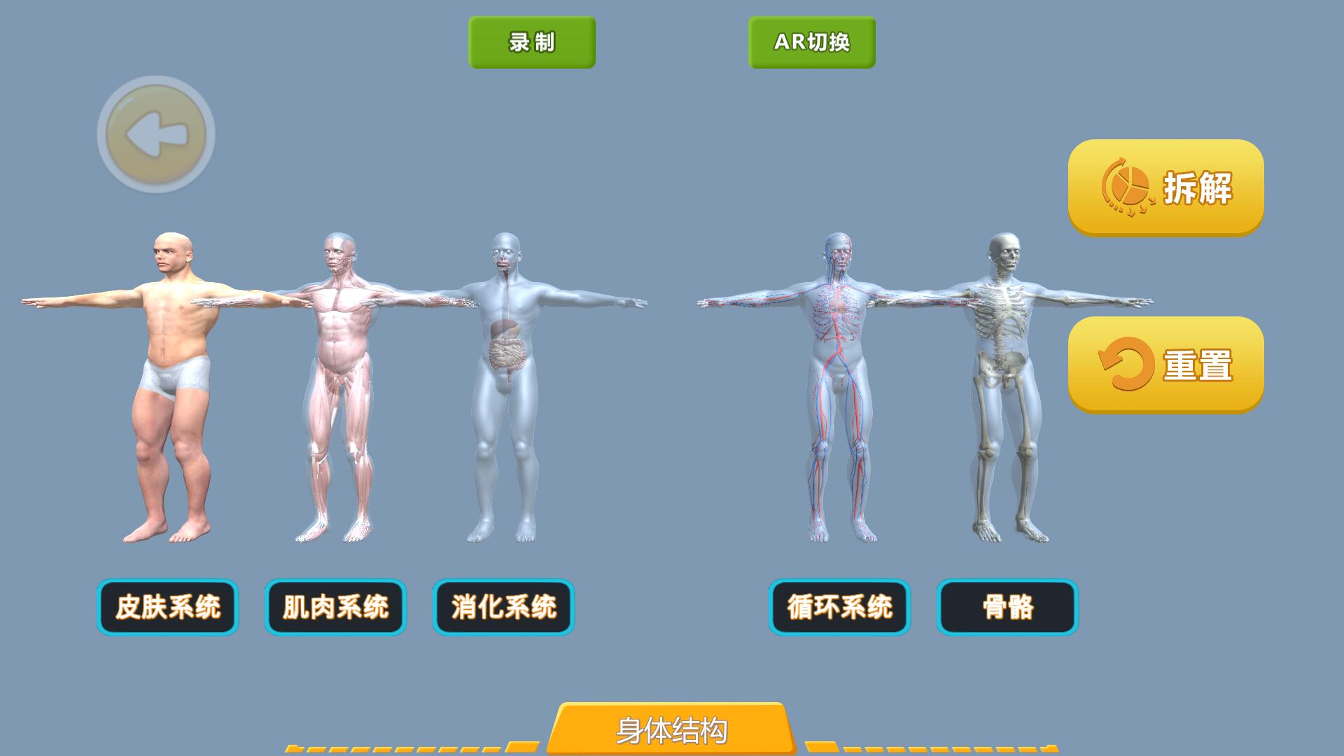 【AR生物】身體結(jié)構(gòu)