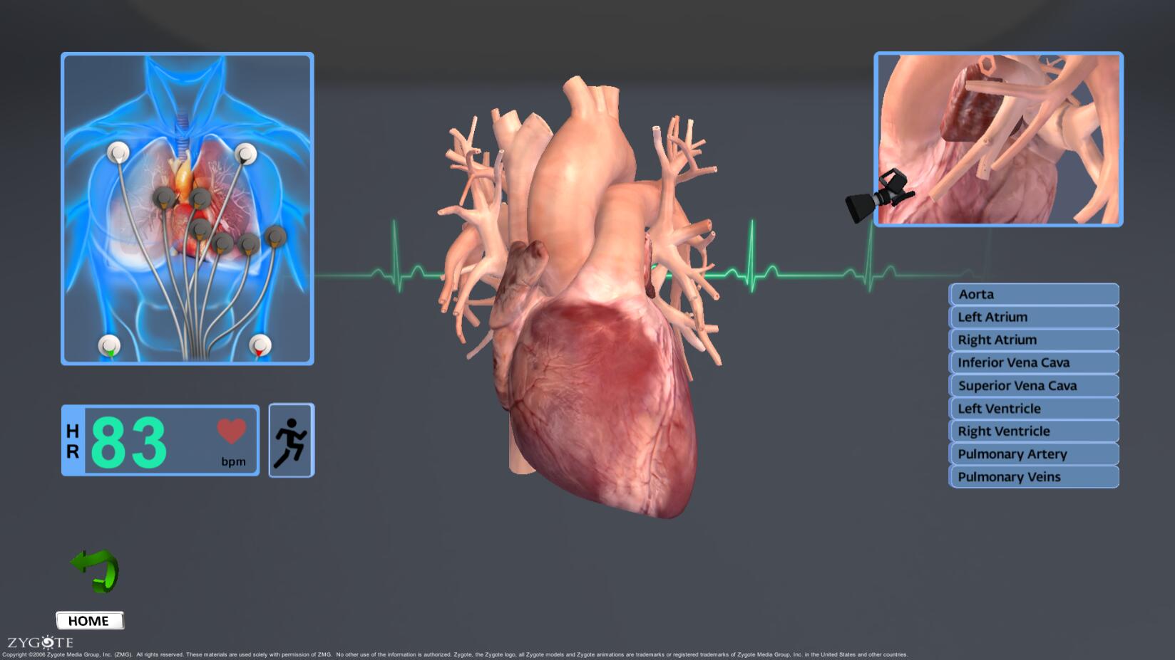 課內(nèi)外課題研究資源