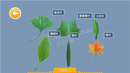 1596156732688267.jpg 5_副本.jpg