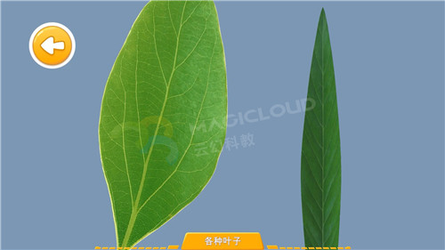 1596156749606681.jpg 6_副本.jpg