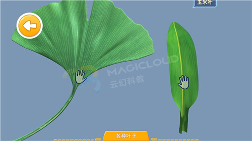 1596156775413891.jpg 8_副本.jpg