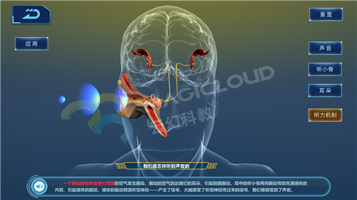 1599180876248447.png 4_副本.png