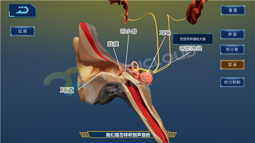 1599180896170079.png 6_副本.png