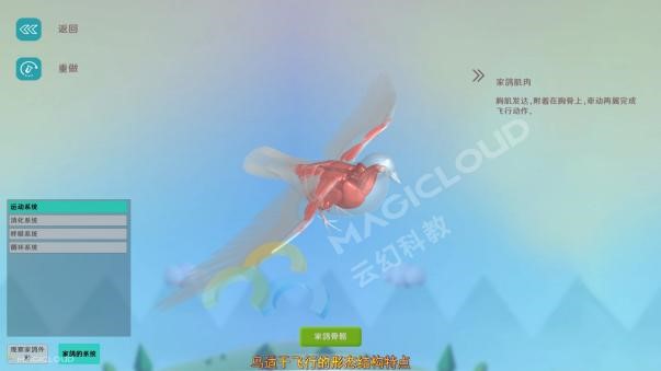 1746580541915005.jpg 1746580541915005.jpg